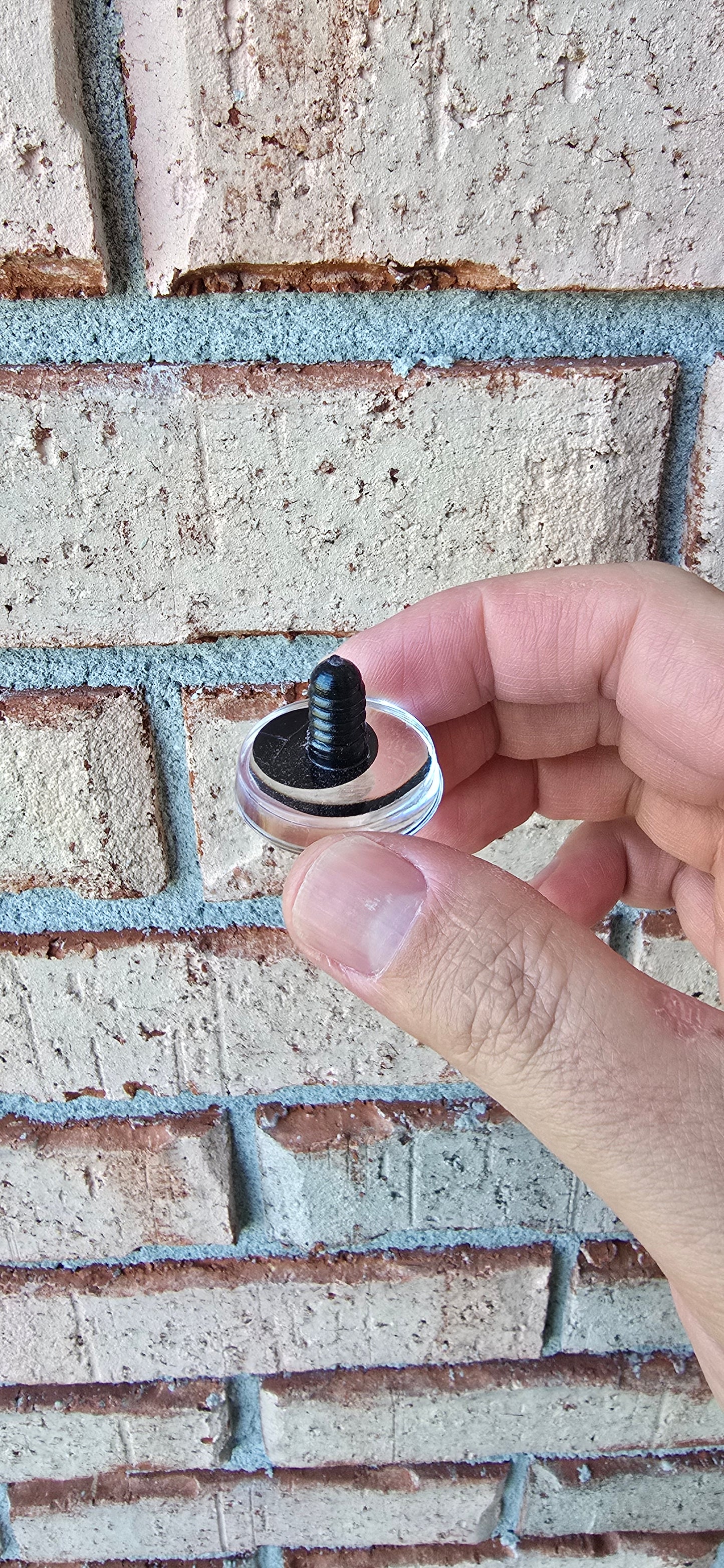 Bundle and Save Dreamy Flavors Collection Handpainted Sinker Recessed Safety Eyes Amigurumi Crochet