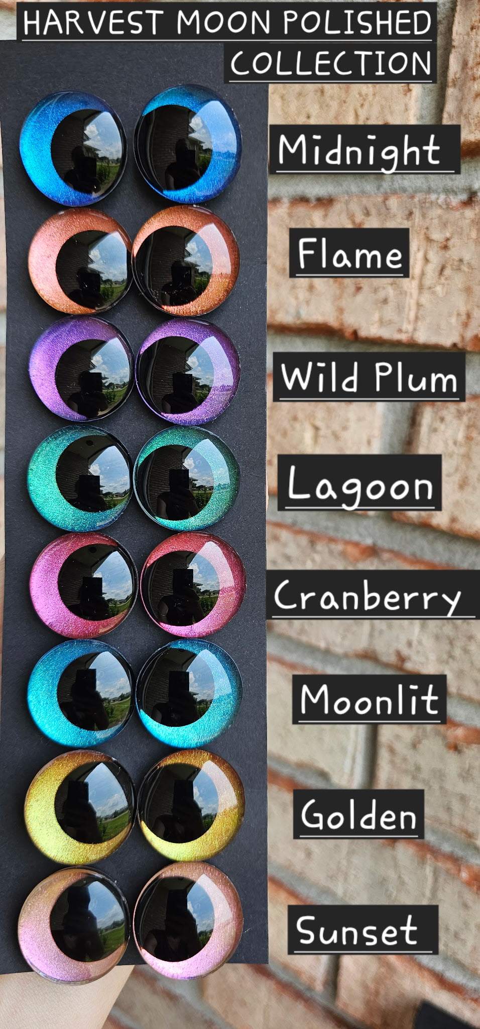 Bundle and Save Harvest Moon Polished Collection Handpainted Recessed Safety Eyes 8 pairs